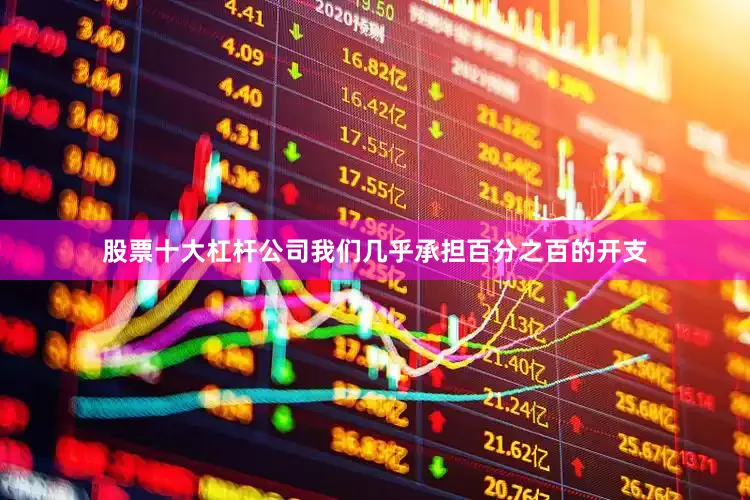 股票十大杠杆公司我们几乎承担百分之百的开支